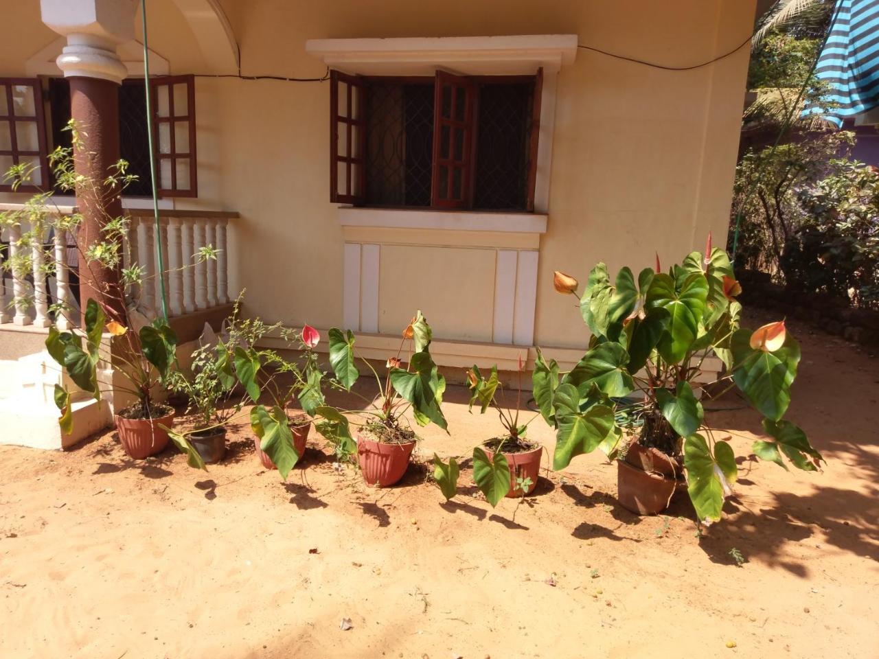 21In Guest House Calangute Esterno foto
